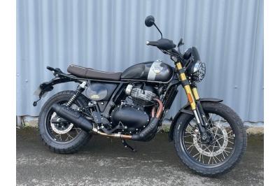 ROYAL ENFIELD BEAR