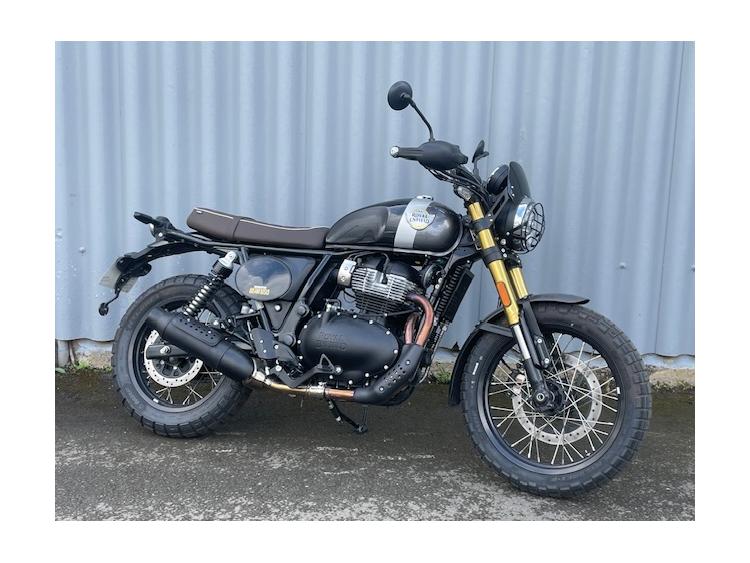 ROYAL ENFIELD BEAR