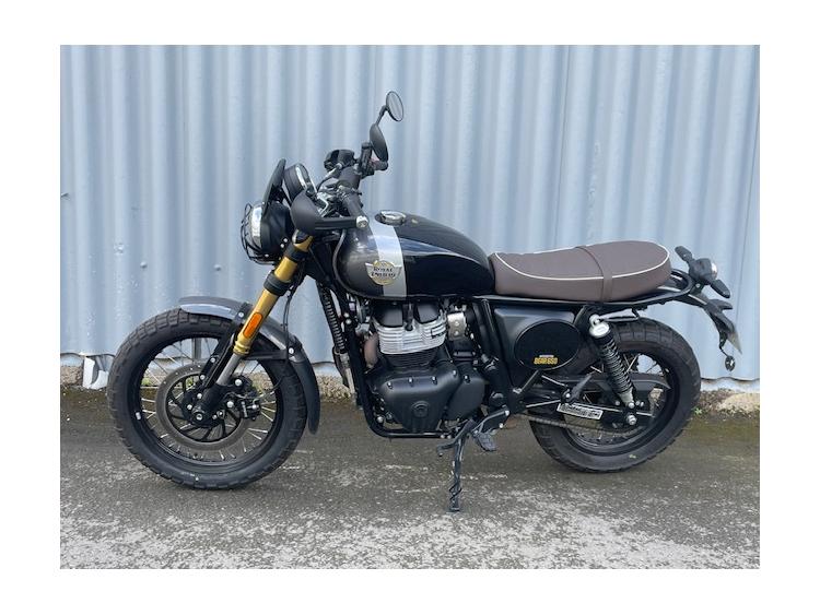 ROYAL ENFIELD BEAR