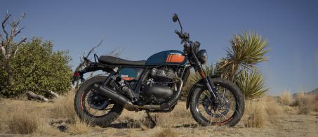 Bear 650 